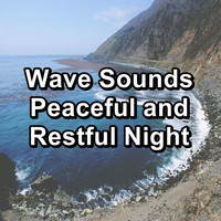 Beach Sounds - Wave Sounds Peaceful and Restful Night