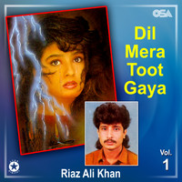 Riaz Ali Khan - Dil Mera Toot Gaya, Vol. 1
