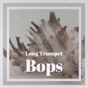 Various Artist - Long Trumpet Bops