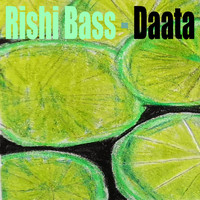 Rishi Bass - Daata