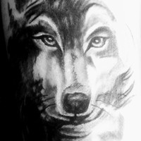 Wolfie - Untamed desire