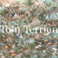 Tom Terrien - What's Wrong?