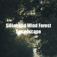 Forest Sounds For Relaxation - Silent and Wind Forest Soundscape