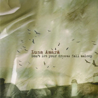 Luna Amara - Don't Let Your Dreams Fall Asleep