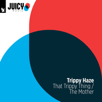 Trippy Haze - That Trippy Thing / The Mother