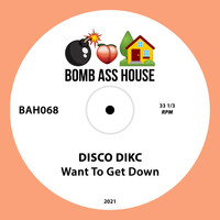 Disco Dikc - Want To Get Down