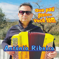 António Ribeiro - Que Pau Gostoso Você Tem