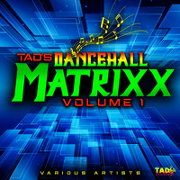 Vybz Kartel - Tad's Dancehall Matrixx, Vol. 1 (Explicit)