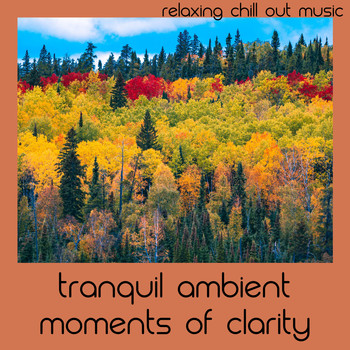 Relaxing Chill Out Music - Tranquil Ambient Moments Of Clarity