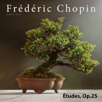Frédéric Chopin - Chopin: Études, Op.25
