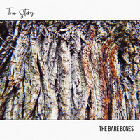 The Bare Bones - True Story
