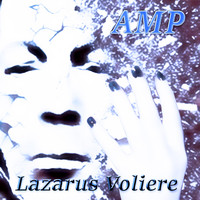 Lazarus Voliere - Amp