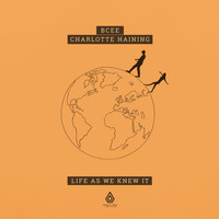 BCee, Charlotte Haining - Life as We Knew It