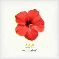 Carlos David - T.P.M. (Todo Para Mi) [English Remix]