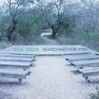 True Vision - Searching for You