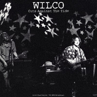 Wilco - Cuts Against The Tide (Live '95)