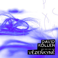 David Koller - Vězenkyně