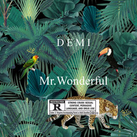 DEMI - Mr.Wonderful (Explicit)
