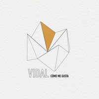 Vidal - Sin Rumbo Ni Orden