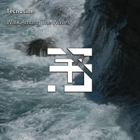 Tecnosine - Walk Among the Waves