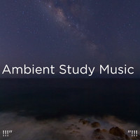 Ocean Sounds, Ocean Waves For Sleep and BodyHI - !!!" Ambient Study Music  "!!!