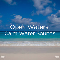 Ocean Sounds, Ocean Waves For Sleep and BodyHI - !!!" Open Waters: Calm Water Sounds "!!!