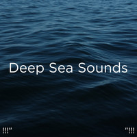 Ocean Sounds, Ocean Waves For Sleep and BodyHI - !!!" Deep Sea Sounds "!!!