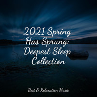 Yoga Music, Spa and Deep Sleep - 2021 Spring Has Sprung: Deepest Sleep Collection
