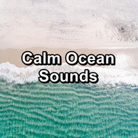 Sleep Waves - Calm Ocean Sounds