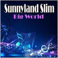 Sunnyland Slim - Big World
