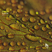 Tavaresgui - One More Light