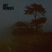 Any Wonder - Second Wind
