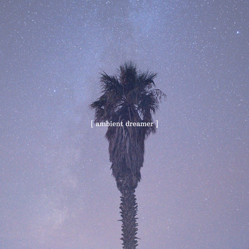 Ambient Dreamer - Paradise Palm