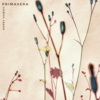 Harry Hawaii - Primavera