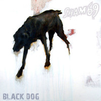 Sham 69 - Black Dog (Explicit)