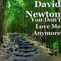 David Newton - You Don't Love Me Anymore