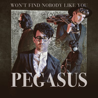 Pegasus - Won't Find Nobody Like You