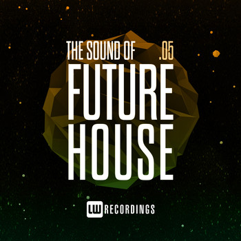 Various Artists - The Sound Of Future House, Vol. 05