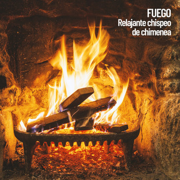 Fireplace Sounds, Sounds of Nature Noise, Relaxing Music Therapy - Fuego: Relajante chispeo de chimenea
