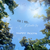 Nappy Roots feat. Elevator Jay - How I Feel (Explicit)