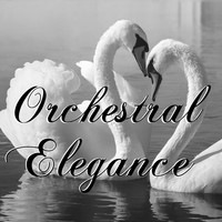 Glorious Symphony Orchestra - Orchestral Elegance