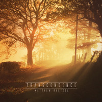 Matthew Raetzel - Transcendence