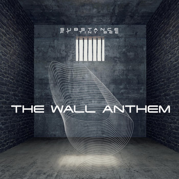 Substance - The Wall Anthem (feat. Tiny Bee)