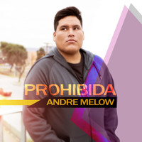 Andre Melow - Prohibida (Explicit)