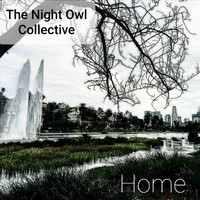 The Night Owl Collective - Home