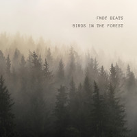 fndy beats - Birds in the Forest