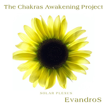 EvandroS - The Chakras Awakening Project - Solar Plexus