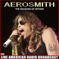 Aerosmith - The Seasons Of Wither (Live)