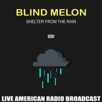 Blind Melon - Shelter From The Rain (Live)