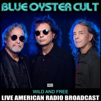 Blue Oyster Cult - Wild And Free (Live)